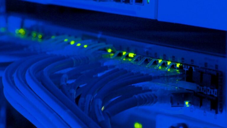 IT-Dienstleistungen seit 2002 | NETWORK ASSISTANCE Nahaufnahme von Netzwerkkabeln und einem Switch mit blauen LED-Leuchten in einem Rechenzentrum.